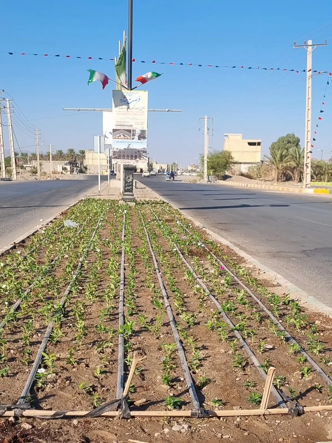 آغاز عملیات کاشت گل‌های فصلی توسط واحد خدمات شهری شهرداری هشت بندی